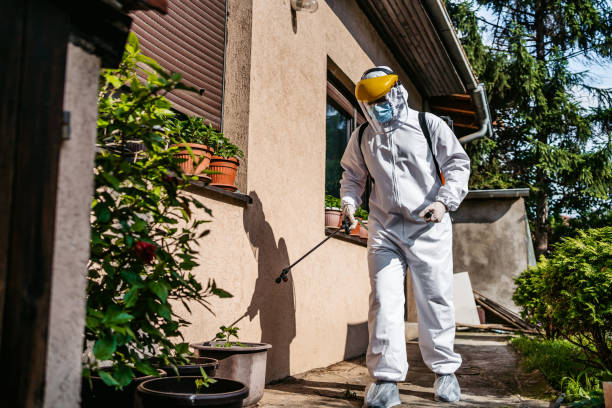 Best Affordable Pest Control Services  in Wadsworth, IL