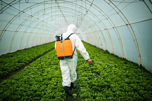 Reliable Wadsworth, IL Pest Control Solutions