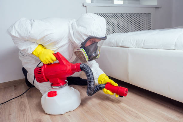 Best Emergency Pest Control  in Wadsworth, IL