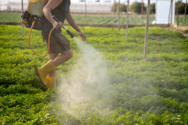 Best Pest Removal Services  in Wadsworth, IL