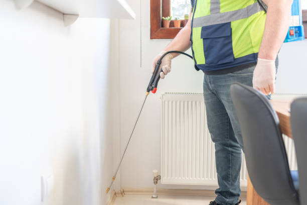 Best Flea Control Services  in Wadsworth, IL