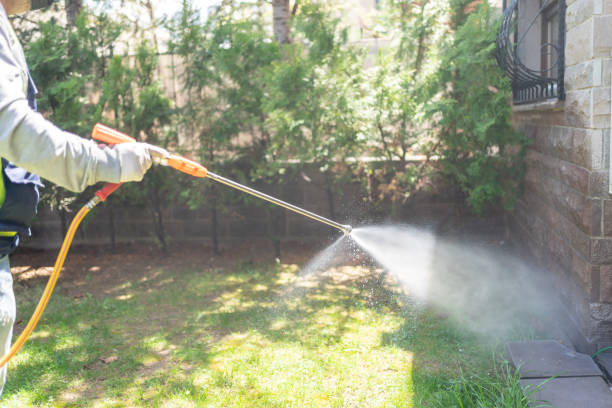 Best Cockroach Control Services  in Wadsworth, IL