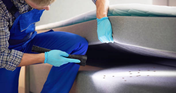 Best Best Pest Control Near Me  in Wadsworth, IL
