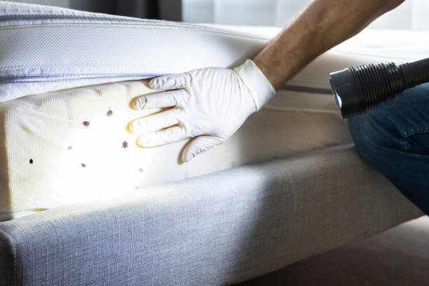 Pest Prevention Services in Wadsworth, IL