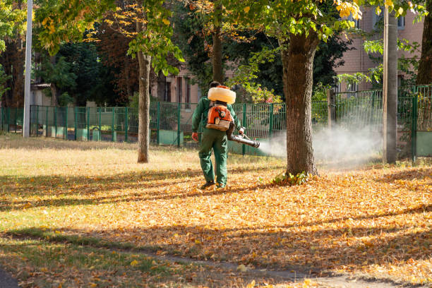 Best Rodent Control Near Me  in Wadsworth, IL