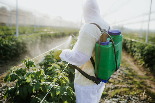 Best Bed Bug Extermination  in Wadsworth, IL